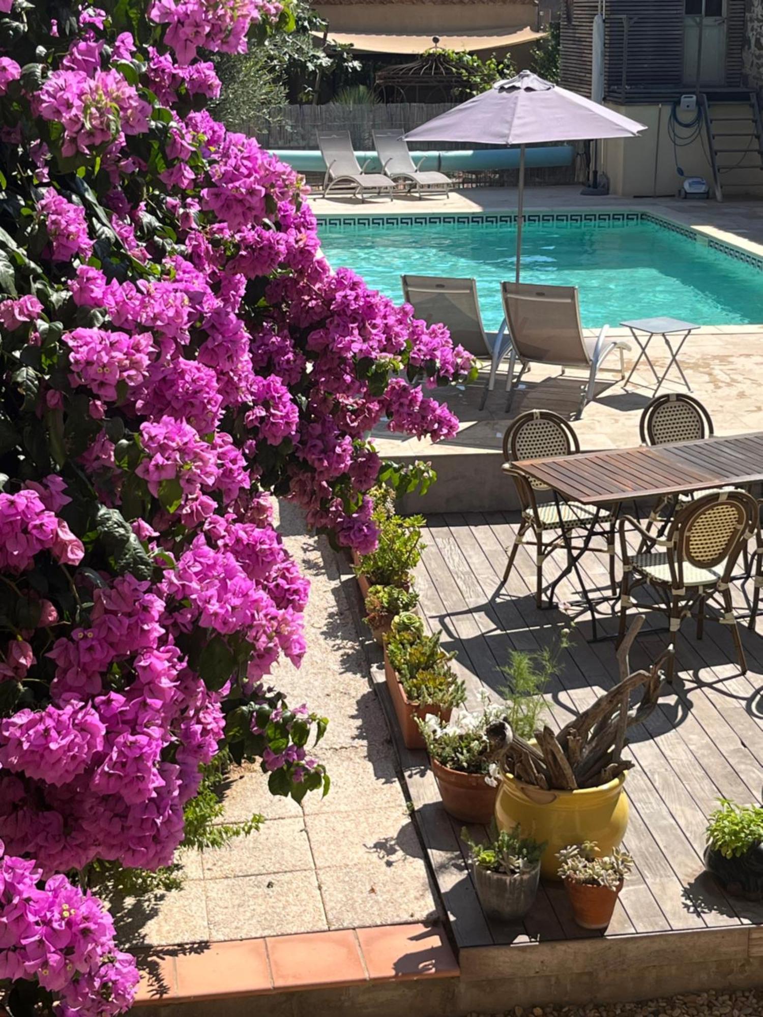 La Casa Occitane Bed and Breakfast Marseillan  Εξωτερικό φωτογραφία