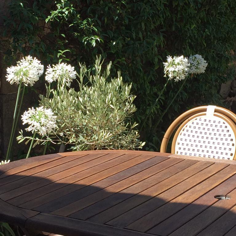 La Casa Occitane Bed and Breakfast Marseillan  Εξωτερικό φωτογραφία